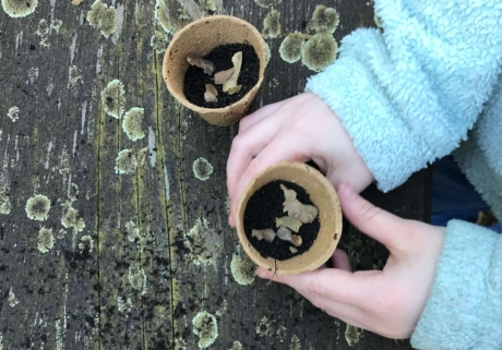 Kinderhände halten einen Pflanztopf mit Erde und Samen. Ab ins Beet !
